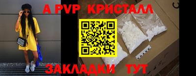 apvp Можга