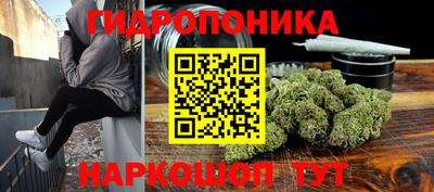 apvp Можга
