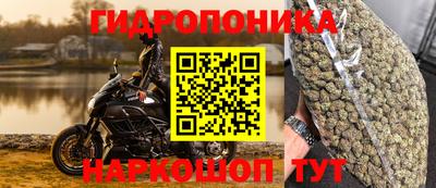 PSILOCYBIN Можайск