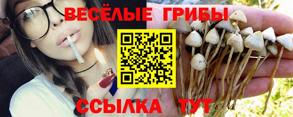 COCAIN  МЕТ  Вход с VPN  ЭКСТАЗИ  Канабис  Гашиш  Великий Устюг  Меф МЯУ МЯУ   Каннабис  Alpha-PVP СОЛЬ   ГАШИШ 
